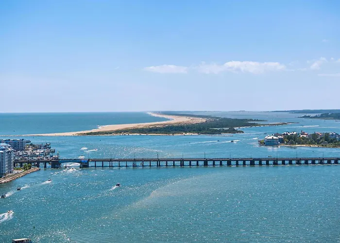 Parrot Bay 7 Ocean City