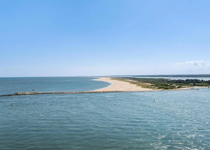 Parrot Bay 7 Ocean City
