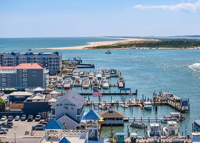 Parrot Bay 7 * Ocean City